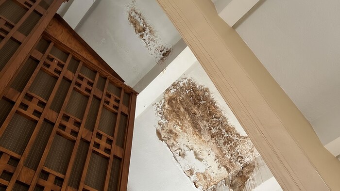 Traces d'infiltration d'eau avec de la peinture écaillée sur un plafond.