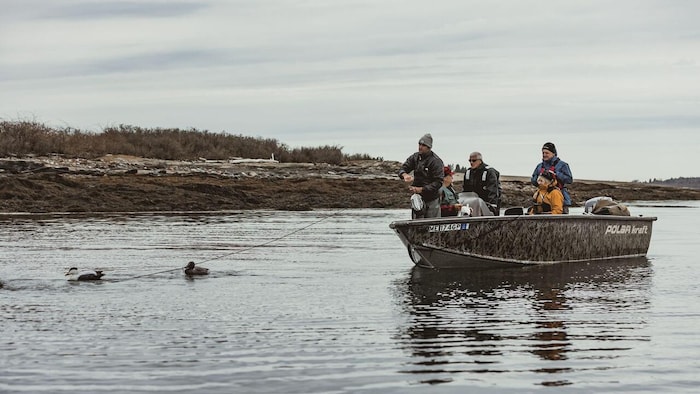 Cinq individus dans une chaloupe lancent un fil qui sert à attraper des canards qui flottent sur l'eau.