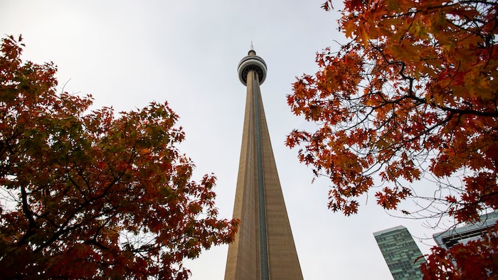 La Tour CN à Toronto entourée de couleurs d'automne.