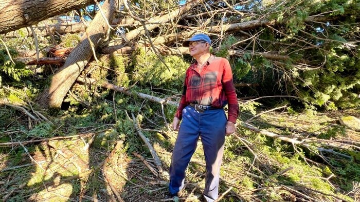 إلبرت موراي يتفقد الأضرار التي تسببت بها عاصفة ’’فيونا‘‘ في حرج أشجار يملكه في منطقة بيكتو في شمال نوفا سكوشا. 