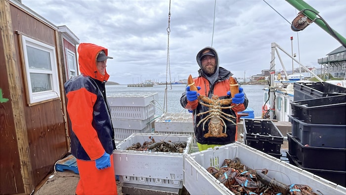 Un pêcheur montre un gros homard qu'il a pêché.