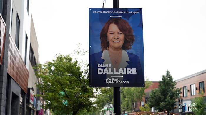 Une affiche électorale du PQ sur un poteau, avec la photo de Diane Dallaire.