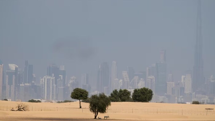 Des arbres se dressent sur le sable devant un profil enfumé de la ville de Dubai, aux Émirats arabes unis.