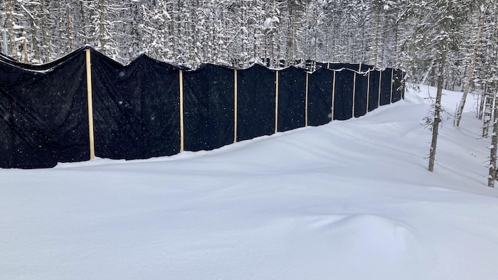 Une clôture recouverte de géotextile noir dans une forêt.
