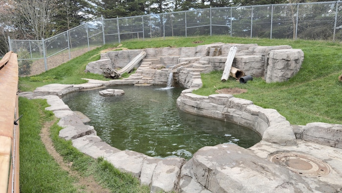 Un enclos pour les loutres du bioparc, avec un grand bassin d'eau.