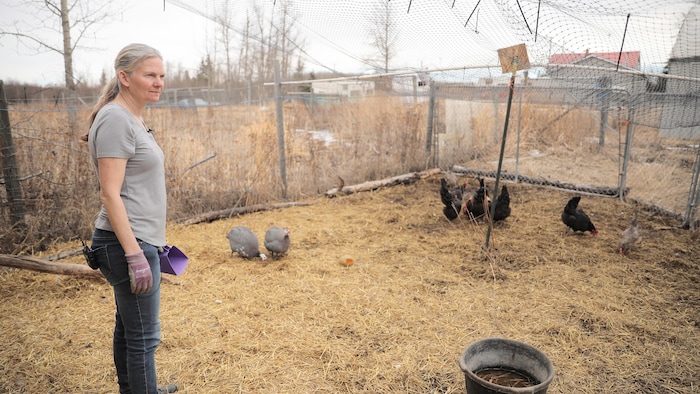 Dawn Watts nourrissant ses poules dans un enclos.