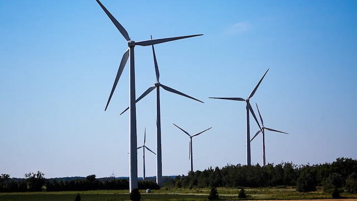 Des turbines éoliennes.