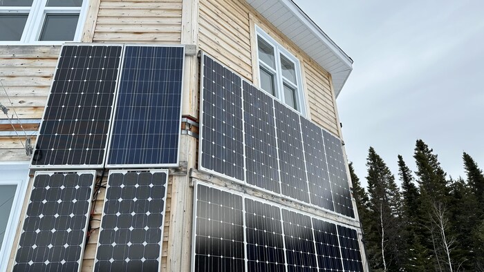 Quatorze panneaux solaires fixés sur un mur extérieur d'une maison devant une forêt.