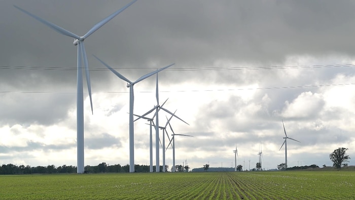 Des éoliennes sur une terre agricole.