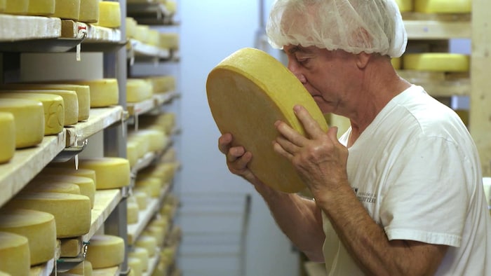 Jean Morin hume une meule de fromage.