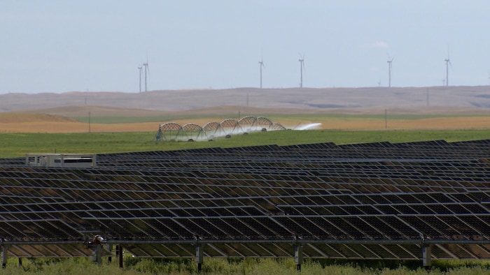 Des panneaux solaires au premier plan avec, derrière, des éoliennes.