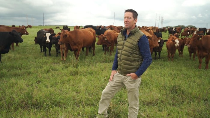 Shawn Morton devant son troupeau de bovins.
