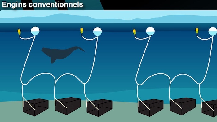 Un dessin où des engins de pêche conventionnels où les casiers sont liés à la surface par des cordages uniques.