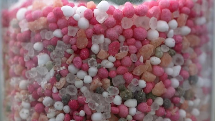Des centaines de petites granules d'engrais.