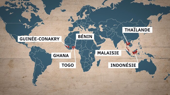 Carte du monde montrant en surbrillance la Guinée, le Ghana, le Togo, le Bénin, la Malaisie, l'Indonésie et la Thaïlande. 