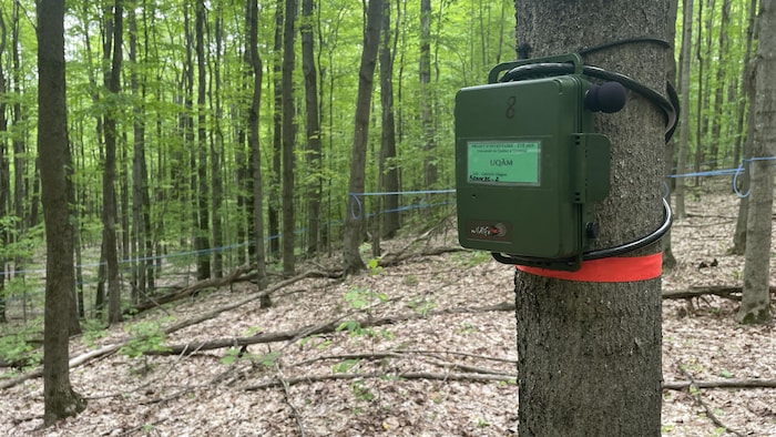 Un appareil enregistreur.