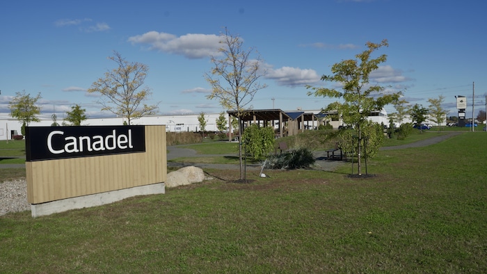 Canadel.