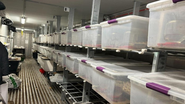 Les installations de l'entreprise KMMCF. 