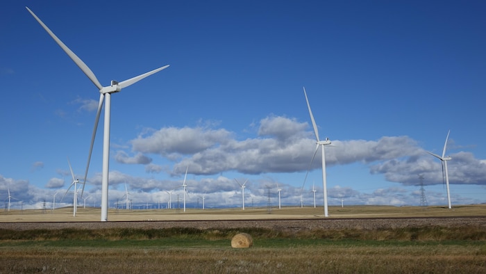 Wind turbines along Route 3 near Pincher Creek in September 2024.