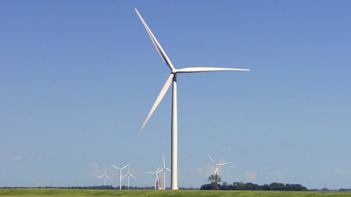 Des éoliennes dans un champs.