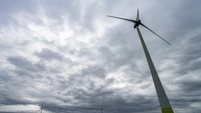 Des éoliennes.