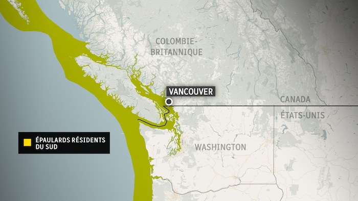 Carte de l'aire de répartition des épaulards résidents du Sud.