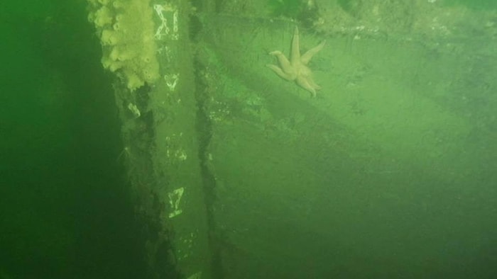Quelques détails de la proue côté bâbord de l'épave du Scotsman, échoué en 1846. Image sous-marine d'Urbania TV tiré de la page Facebook du chasseur d'épave Samuel Côté.
