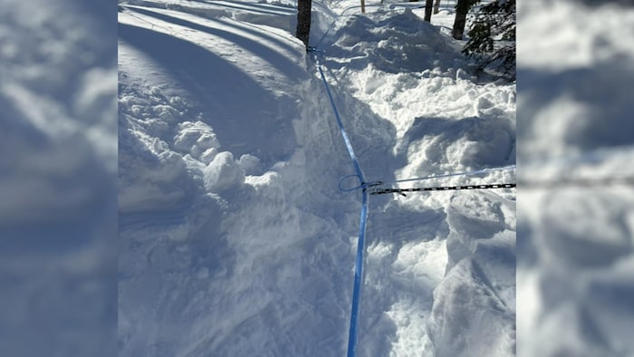 Un système de tubulure d'érablière pendant un hiver particulièrement enneigé.