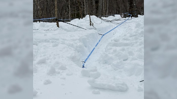 Un système de tubulure dans une érablière où il y a abondance de neige.