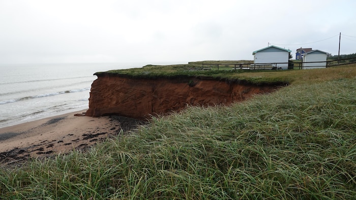Un chat situé près du bord d'une falaise érodée.