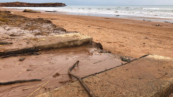 Une plage dévastée par une tempête.