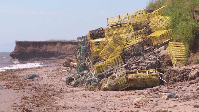 Des casiers à homard échoués le long d'une côte.
