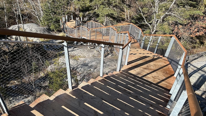 Un escalier aménagé dans une forêt dans le futur Parc national des Dunes-de-Tadoussac. 