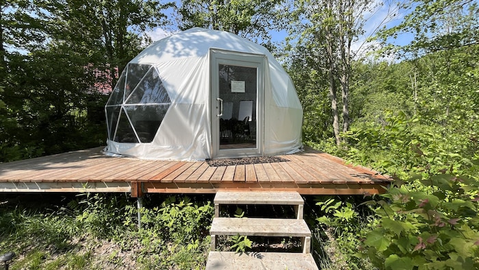 Le dôme se trouve dans la forêt.