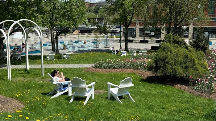 Des personnes assises sur des chaises, dans un espace vert.