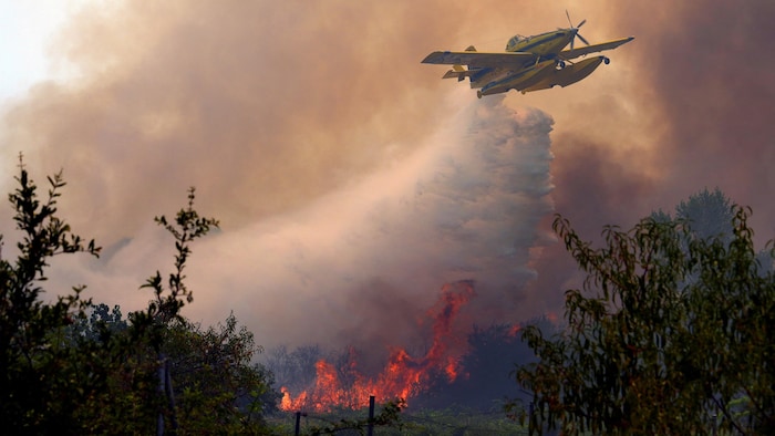 Un canadair au-dessus d'un incendie de forêt.