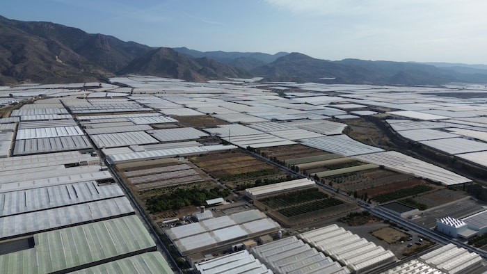 Un paysage de recouvert de serres de plastique.