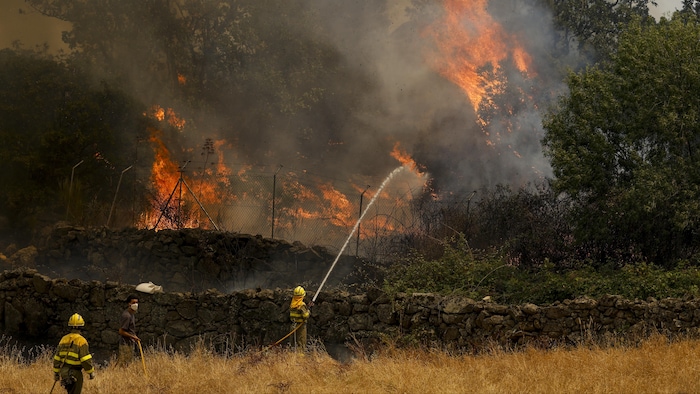 Des pompiers et des civils tentent d'éteindre un incendie de forêt en Espagne.