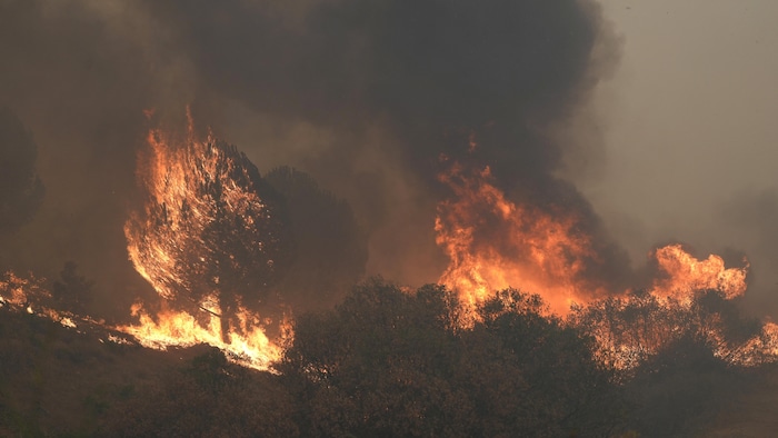 Une photo prise le 24 juillet 2026 montre les flammes d'un incendie de forêt dans la région de Cebreros, près d'Ávila, à 80 km à l'ouest de Madrid. 