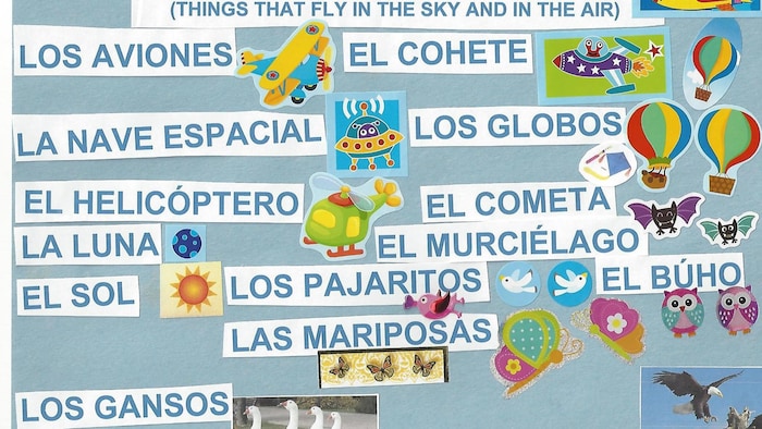 Un tableau présentant du matériel éducatif en espagnol pour les enfants. 