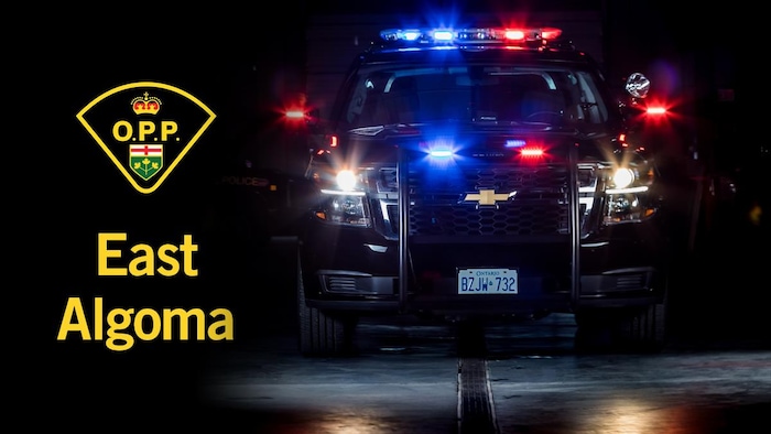 Une voiture de la PPO.