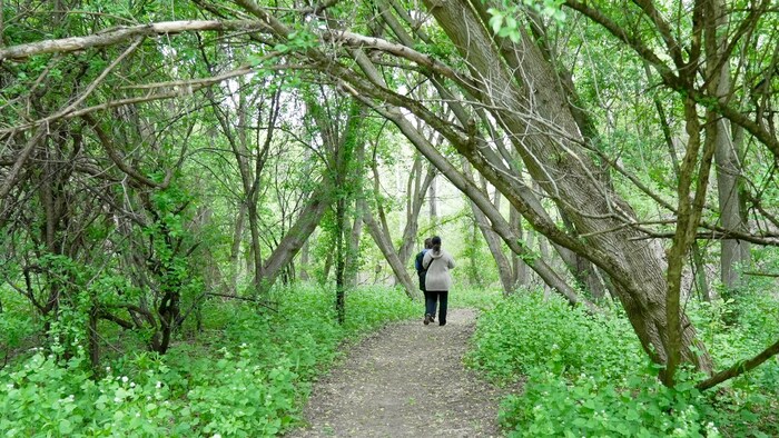Les recherches menées par des bénévoles et la police se poursuivent pour retrouver Esther, une jeune fille de 14 ans, dans le secteur du parc Earl Bales à Toronto, le 22 mai 2026, une semaine après la disparition de l’adolescente.
