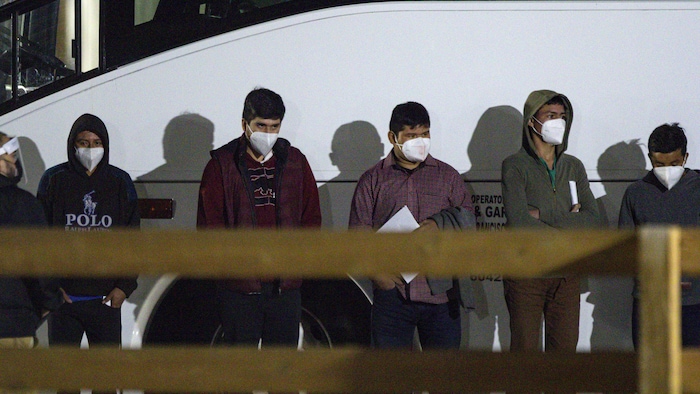 Cinq adolescents portant des couvre-visages attendent, debout, devant un autobus, la nuit.