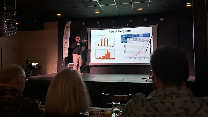 Une personne fait une présentation sur une scène.