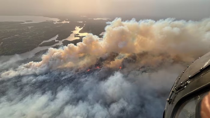 Feu de forêt, près d'une région lacustre.