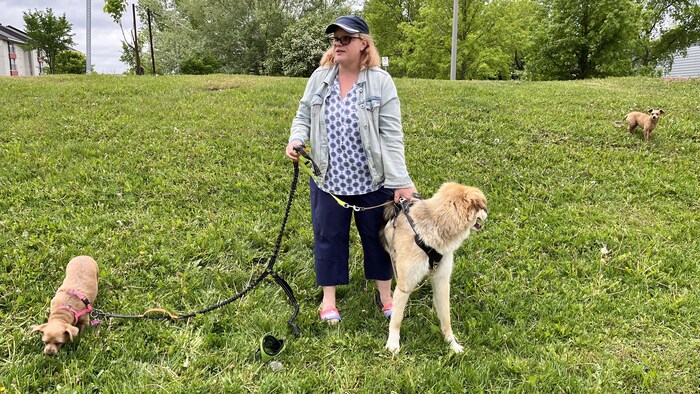 Une femme est entourée de trois chiens.