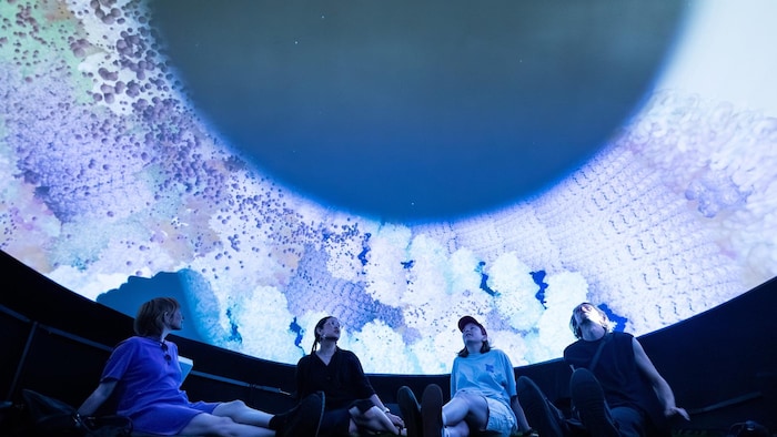 Une installation artistique numérique et interactive.