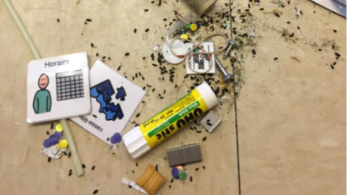 Des excréments de souris retrouvés dans une classe de l'École de l'Étincelle.