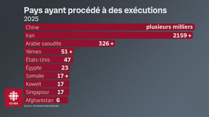 Un tableau des exécutions dans le monde où la Chine et l'Iran dominent largement.