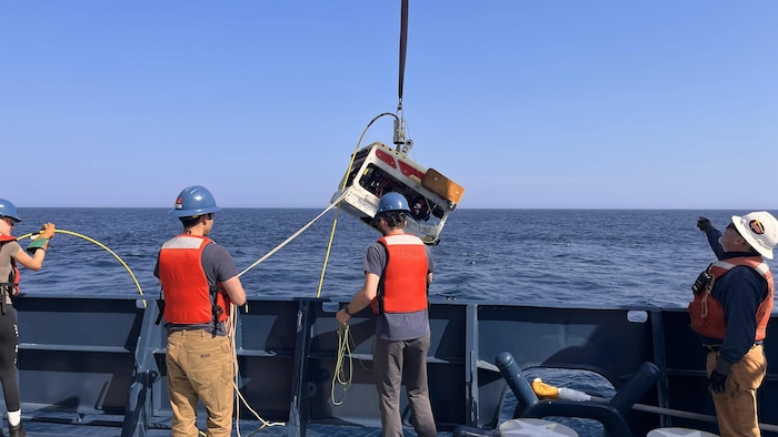 Des personnes à bord d'un bateau sont sur le point d'envoyer une caméra sous l'eau. 